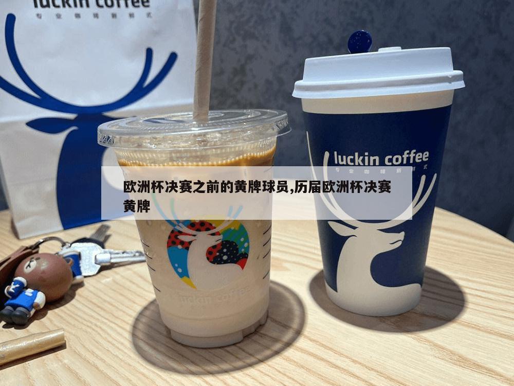 欧洲杯决赛之前的黄牌球员,历届欧洲杯决赛黄牌