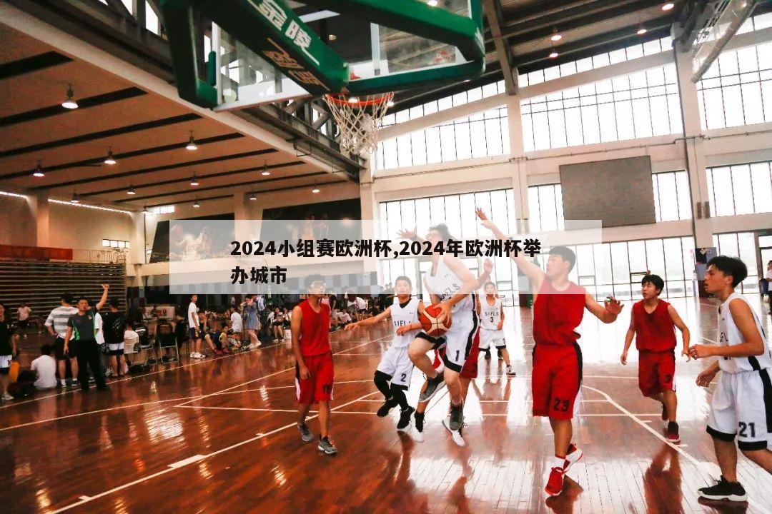 2024小组赛欧洲杯,2024年欧洲杯举办城市