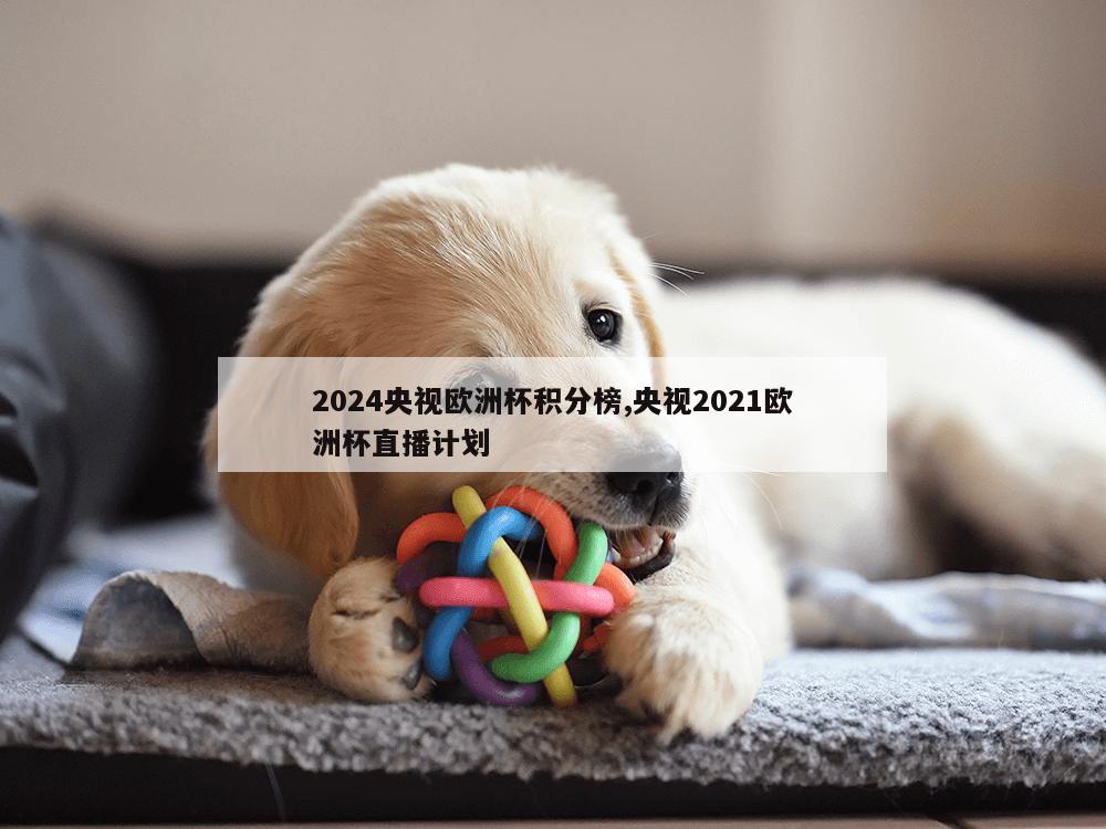 2024央视欧洲杯积分榜,央视2021欧洲杯直播计划