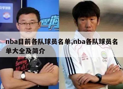 nba目前各队球员名单,nba各队球员名单大全及简介