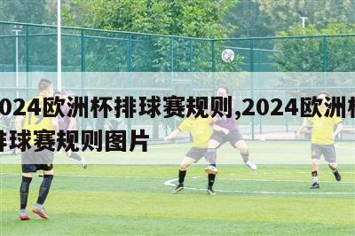 2024欧洲杯排球赛规则,2024欧洲杯排球赛规则图片