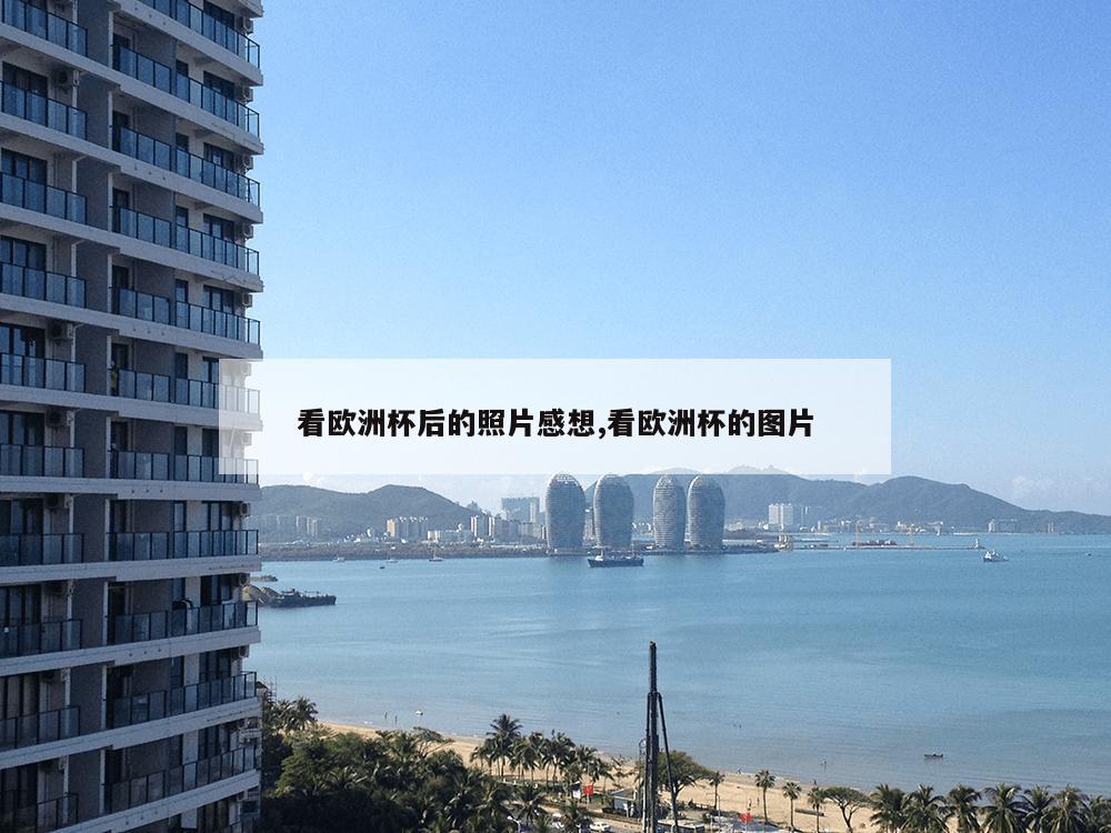 看欧洲杯后的照片感想,看欧洲杯的图片