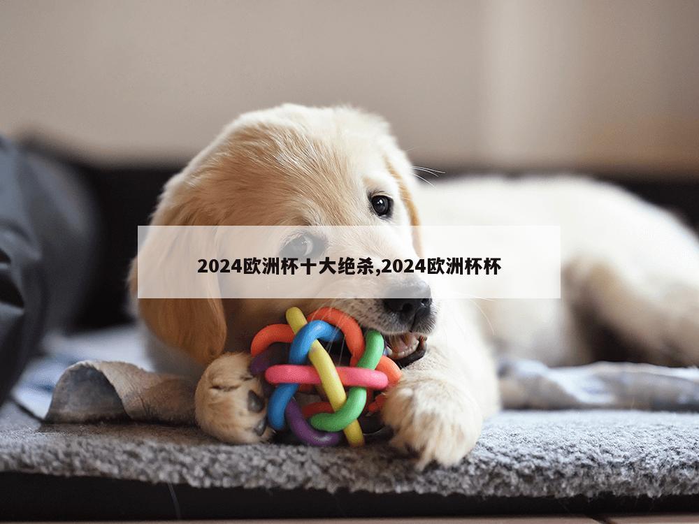 2024欧洲杯十大绝杀,2024欧洲杯杯